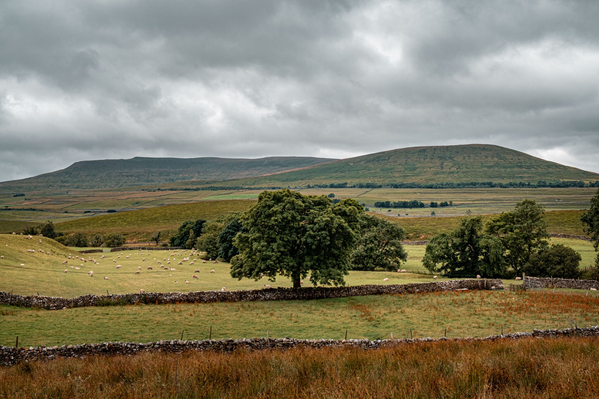 How to Complete the Yorkshire Three Peaks Challenge in Under 12 Hours ...